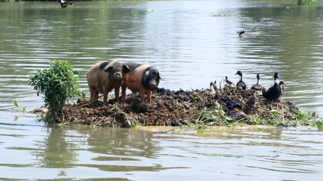 The effects of climate change can now be felt in all parts of the world. India this year saw more severe flooding than usual.