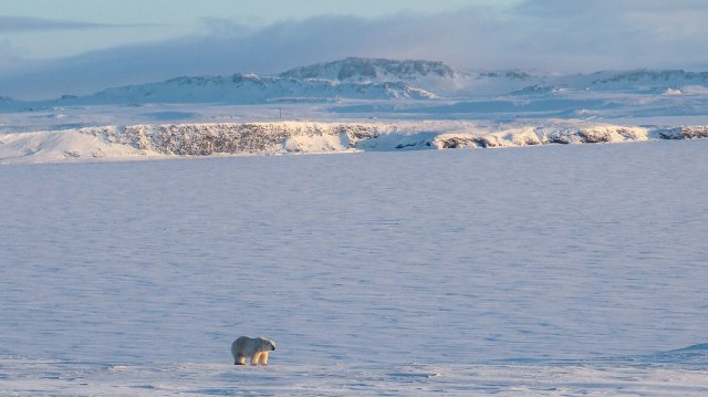 Some of the most dramatic effects of climate change can be seen in the Arctic, where temperatures are rising faster than elsewhere.